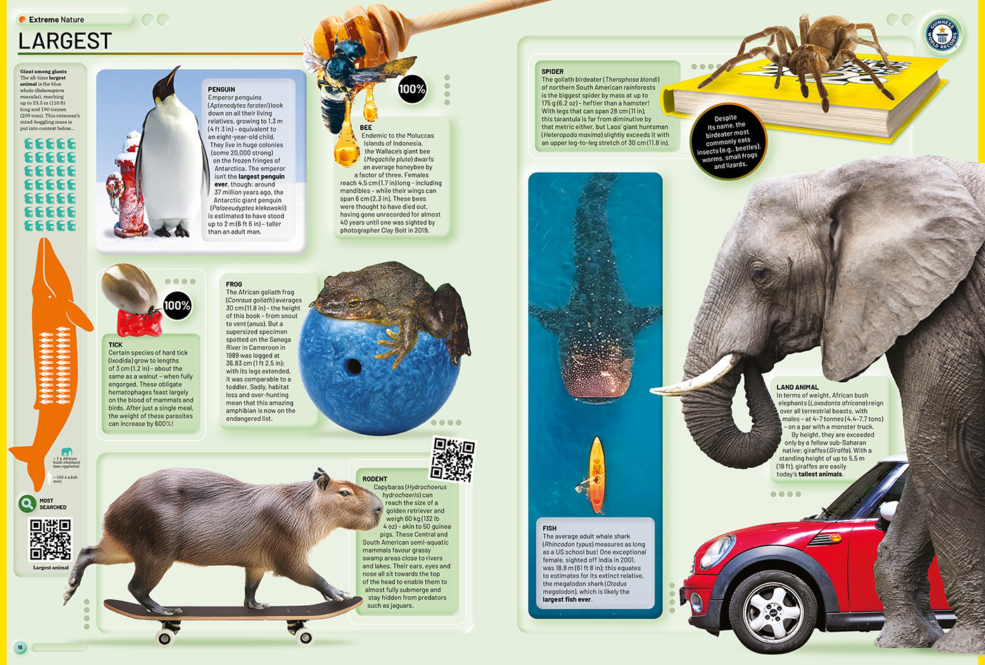 2026 Guinness World Records Book + Free Gift | Signed Bundle