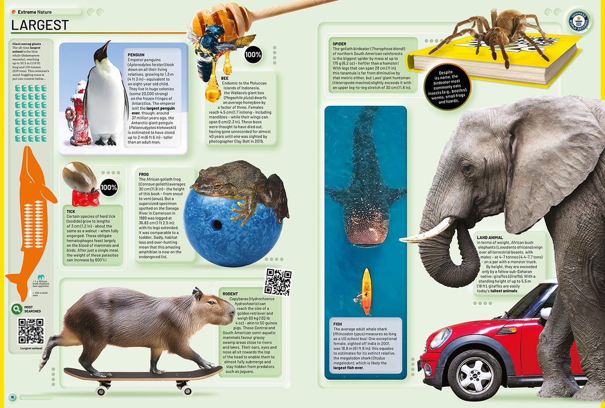 Pacote de livros autografados do Guinness World Records 2026