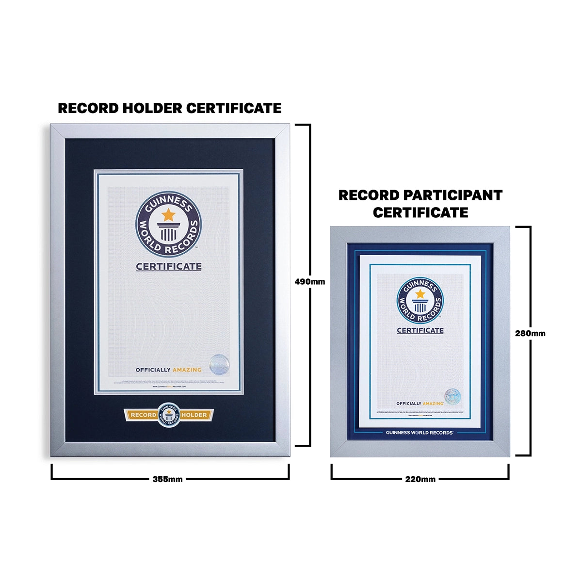 Certificat de participation à l'enregistrement Cadre argenté