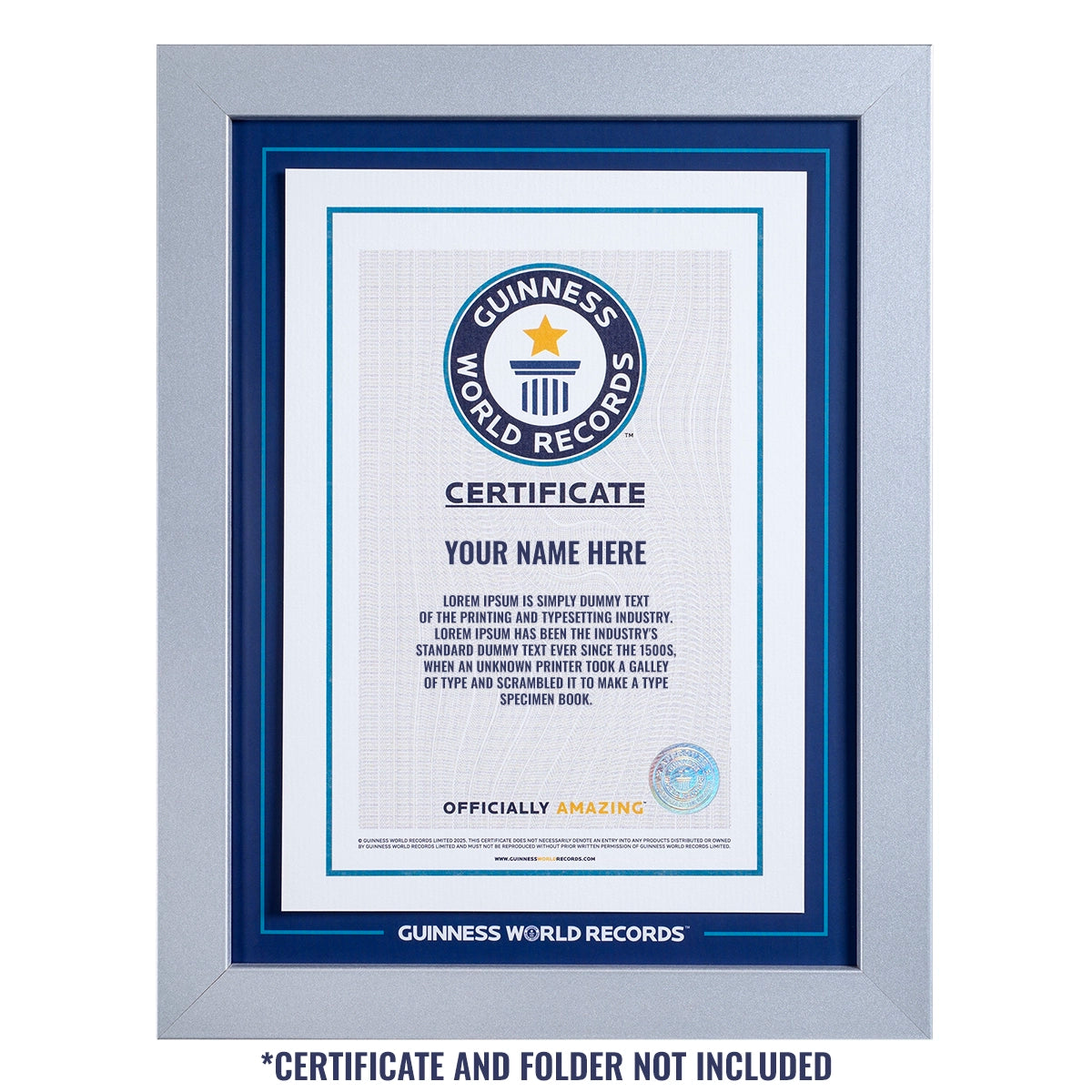 Certificat de participation à l'enregistrement Cadre argenté