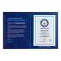 Record Participant Certificate The Largest Magnet Mosaic (Image)