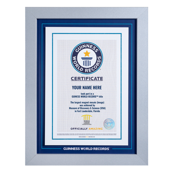 Record Participant Certificate The Largest Magnet Mosaic (Image)