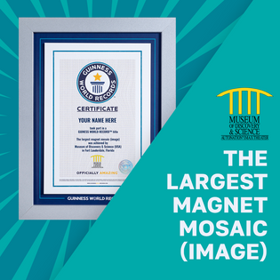 Record Participant Certificate The Largest Magnet Mosaic (Image)