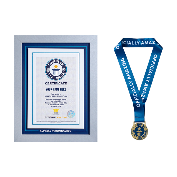 Record Participant Certificate The Largest Magnet Mosaic (Image)