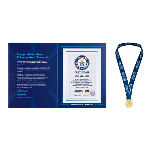 Record Participant Certificate The Most Contributions to Painting by Numbers (Multiple Venues)