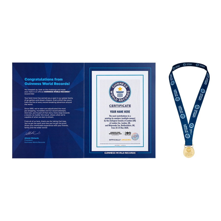 Record Participant Certificate The Most Contributions to Painting by Numbers (Multiple Venues)