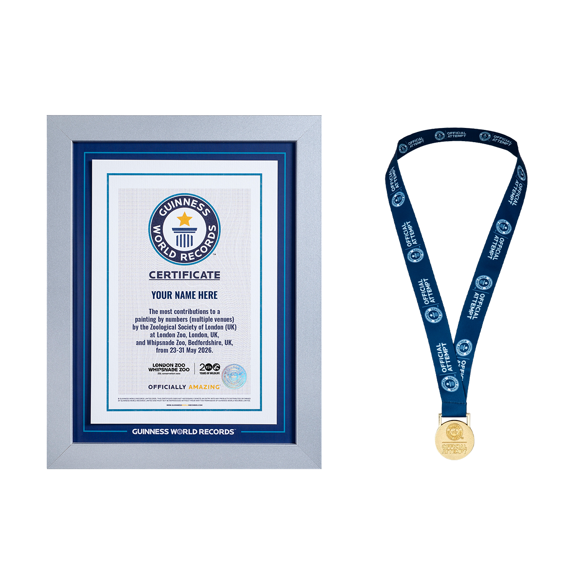 Record Participant Certificate The Most Contributions to Painting by Numbers (Multiple Venues)