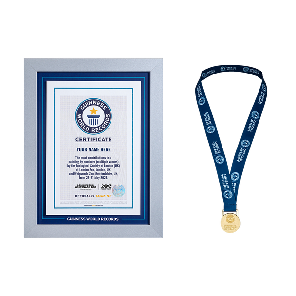 Record Participant Certificate The Most Contributions to Painting by Numbers (Multiple Venues)