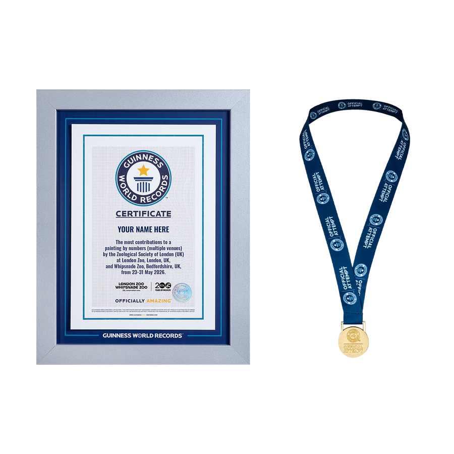 Record Participant Certificate The Most Contributions to Painting by Numbers (Multiple Venues)