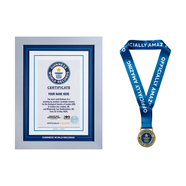 Record Participant Certificate The Most Contributions to Painting by Numbers (Multiple Venues)