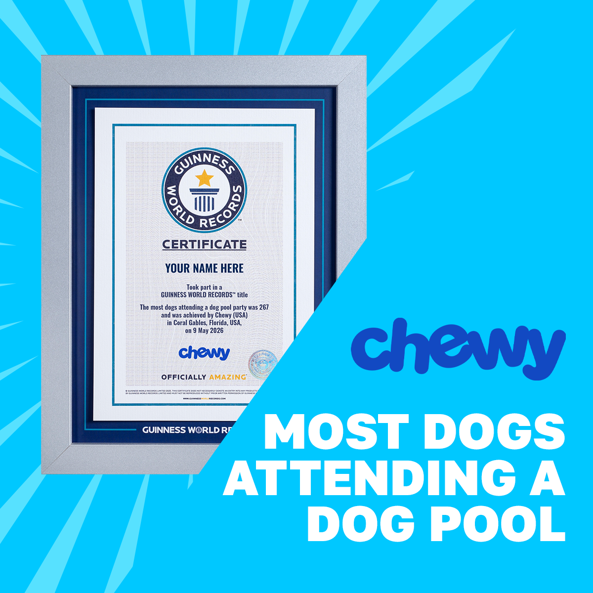 Record Participant Certificate Most Dogs Attending a Dog Pool Party
