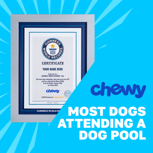 Record Participant Certificate Most Dogs Attending a Dog Pool Party
