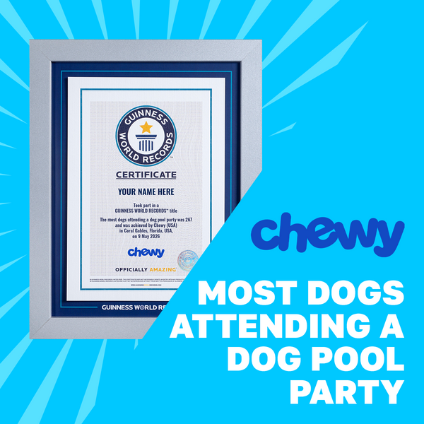 Record Participant Certificate Most Dogs Attending a Dog Pool Party