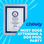 Record Participant Certificate Most Dogs Attending a Dog Pool Party