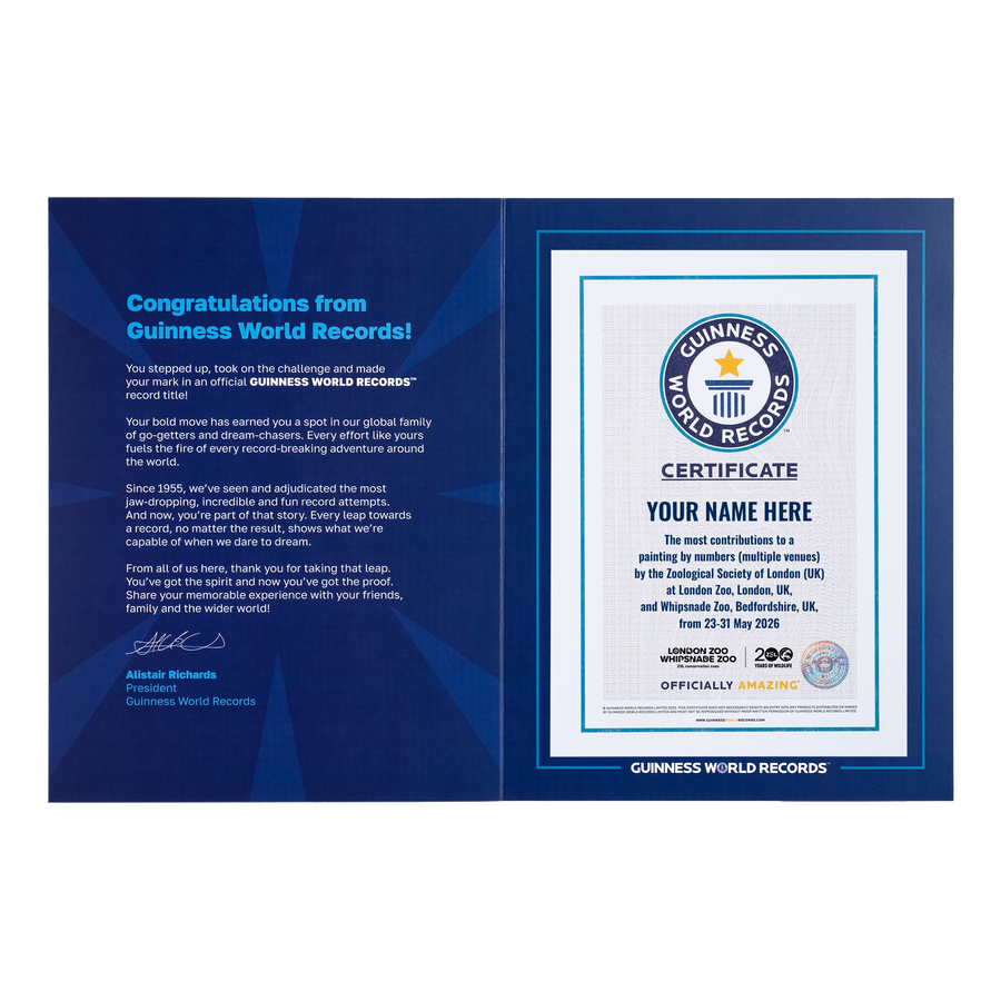 Record Participant Certificate The Most Contributions to Painting by Numbers (Multiple Venues)