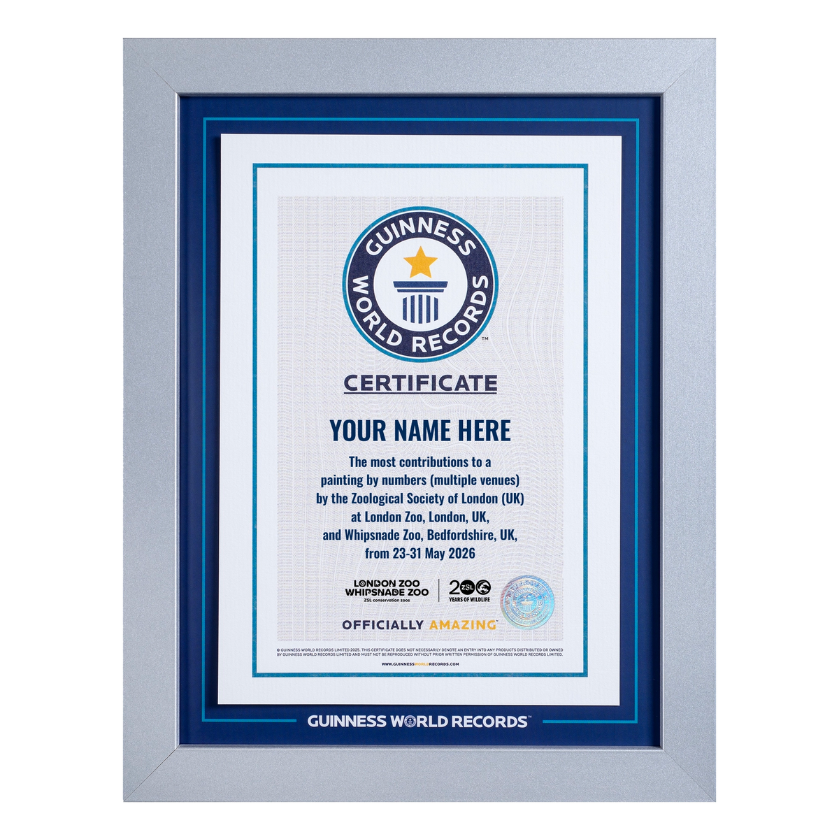 Record Participant Certificate The Most Contributions to Painting by Numbers (Multiple Venues)