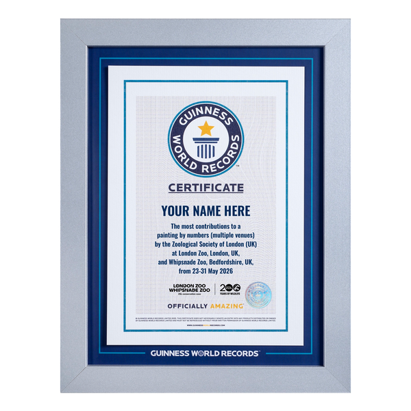 Record Participant Certificate The Most Contributions to Painting by Numbers (Multiple Venues)