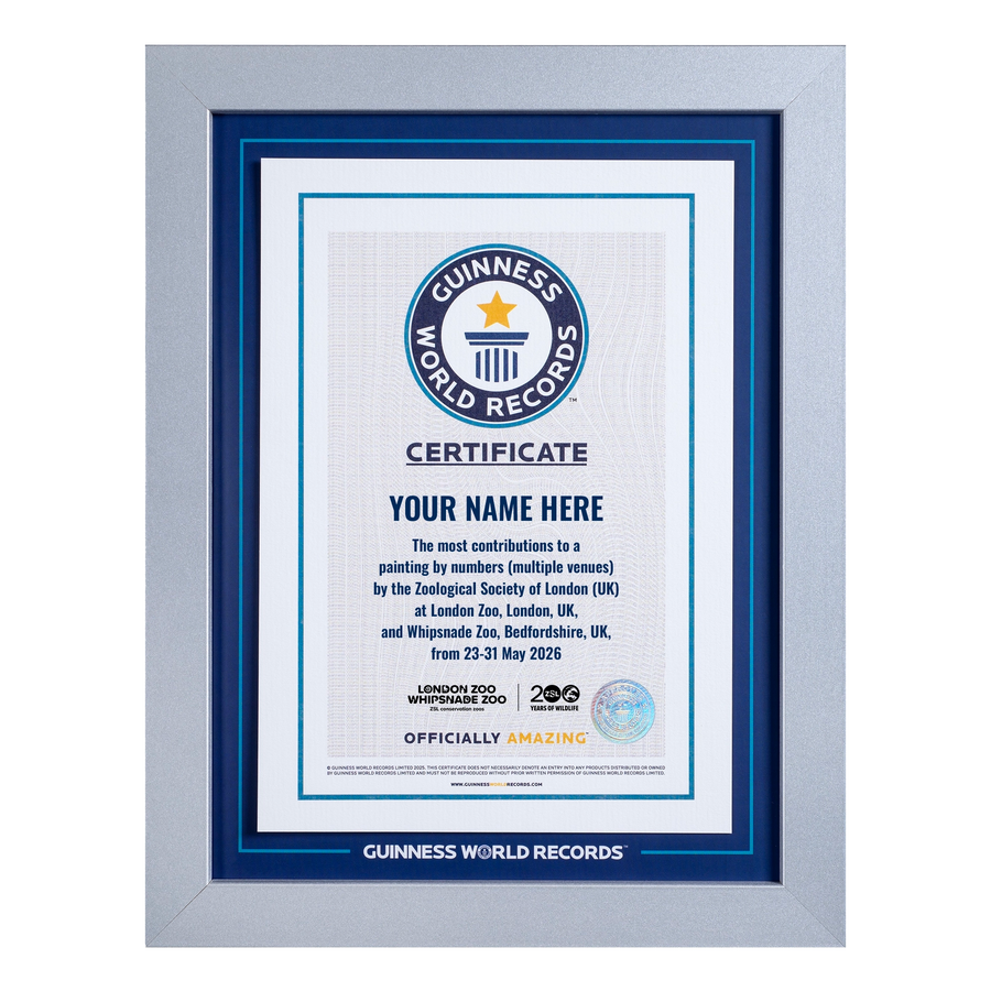 Record Participant Certificate The Most Contributions to Painting by Numbers (Multiple Venues)